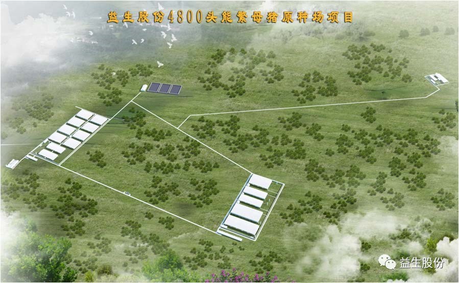 【喜讯】黑龙江南宫NG28种猪繁育有限公司原种猪场建设项目开工