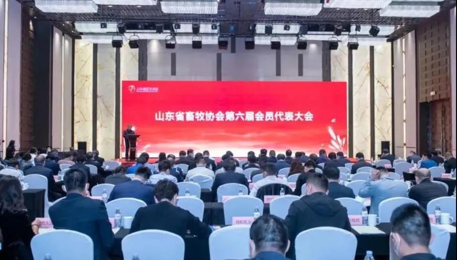微信图片_20211109134530.jpg 微信图片_20211109134530.jpg