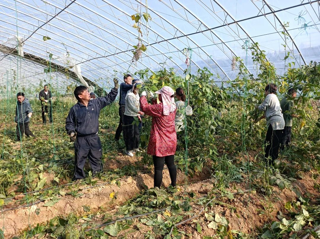 微信图片_20221017144202.jpg 微信图片_20221017144202.jpg