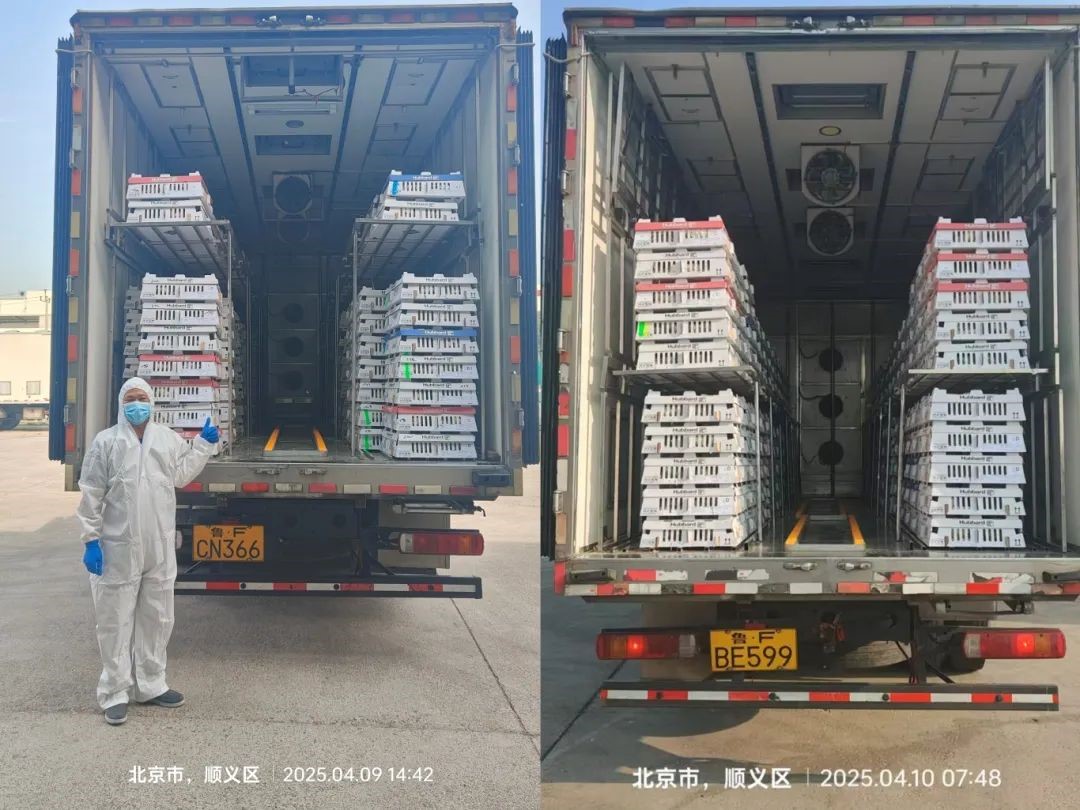 微信图片_20250412134714.jpg 微信图片_20250412134714.jpg