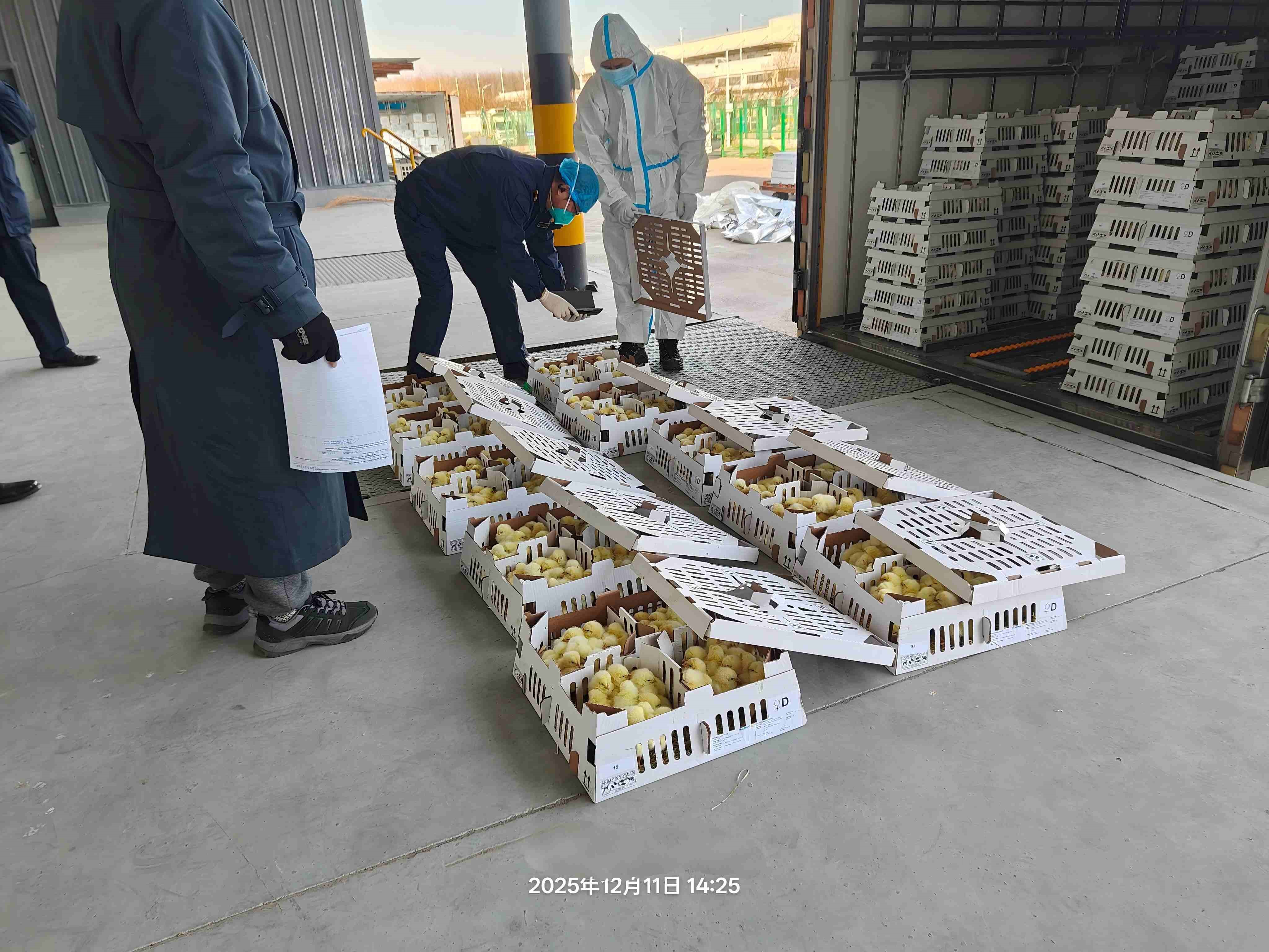【喜讯】南宫NG28股份年度引种圆满收官，累计引种量高达26.6万套